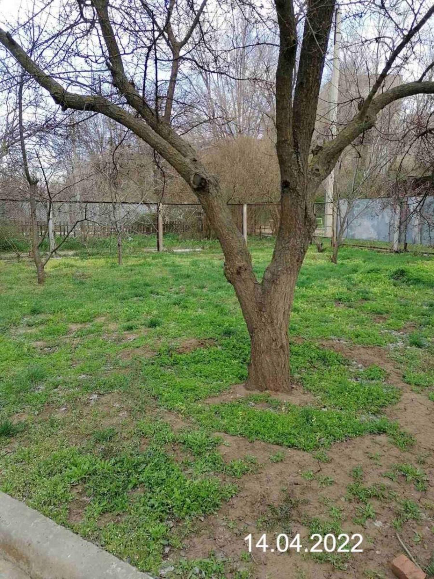 Купить квартиру за 4 356 260 рублей на Горького 1-й въезд, д.8