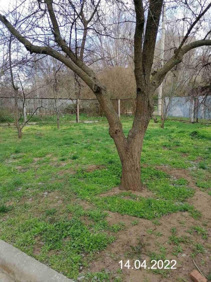 4-комн квартира Горького 1-й взд., д.8