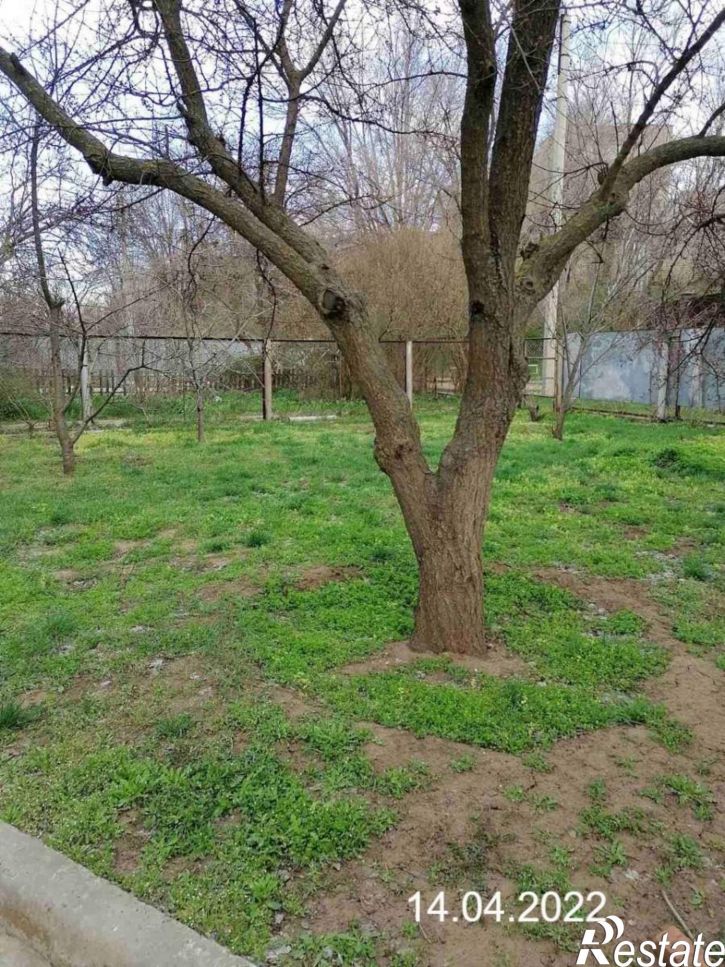 4-комн квартира Горького 1-й взд., д.8